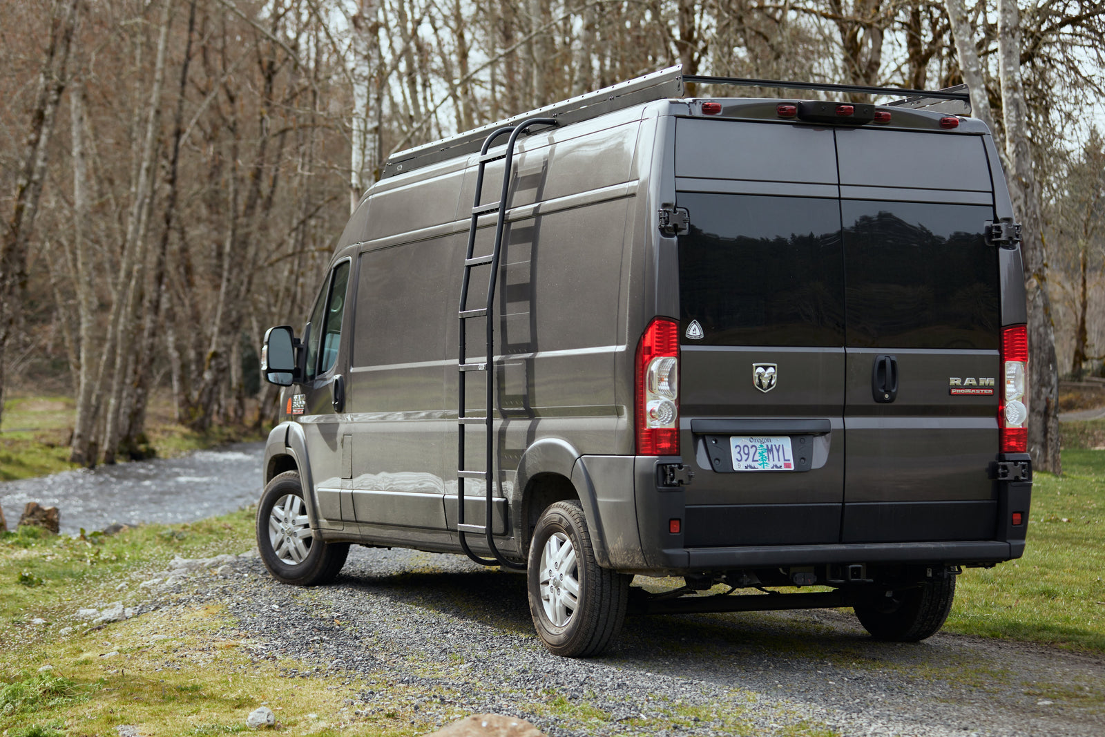 Promaster Van Side Ladder